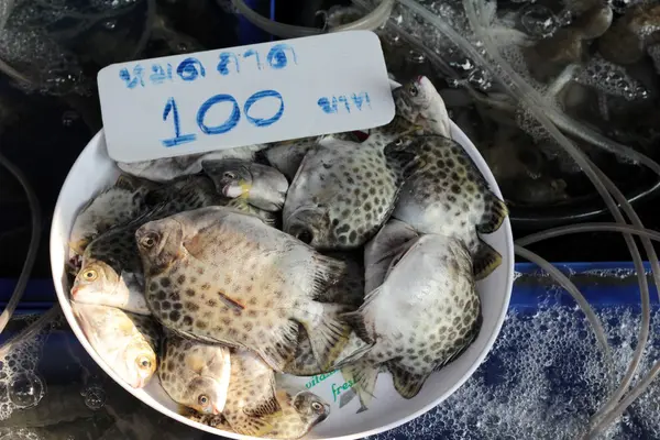 Свежая рыба для приготовления пищи на рынке . — стоковое фото