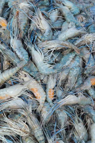 Udang segar untuk memasak di pasar . — Stok Foto