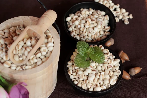 stock image Dried millet seeds for cooking.