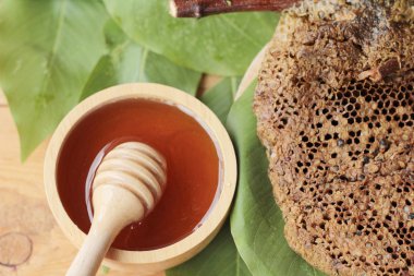 Bal ile petek yeşil yaprakları.