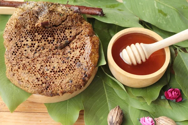 Honung med honeycomb på gröna blad. — Stockfoto