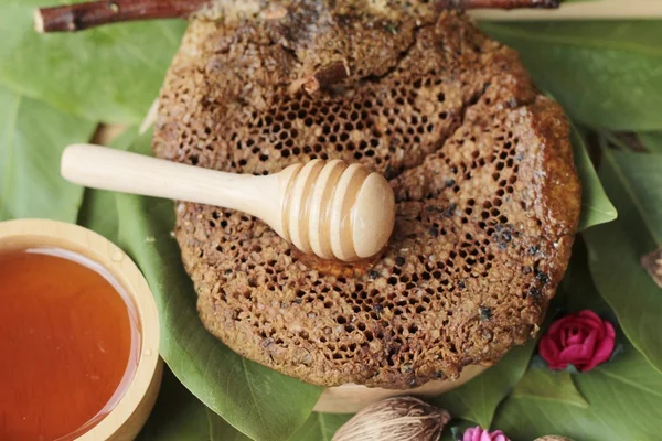 Miel con panal sobre hojas verdes . — Foto de Stock