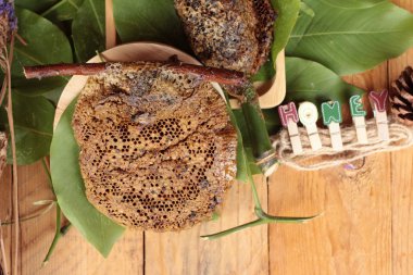 Yeşil yaprakları üzerinde doğal petek