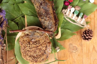 Yeşil yaprakları üzerinde doğal petek