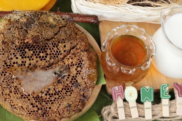 Miel con panal y cera sobre hojas verdes — Foto de Stock