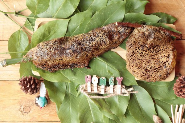 Соты с натуральными на зеленых листьях
