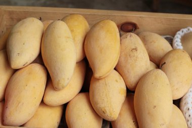 Markette olgun mango