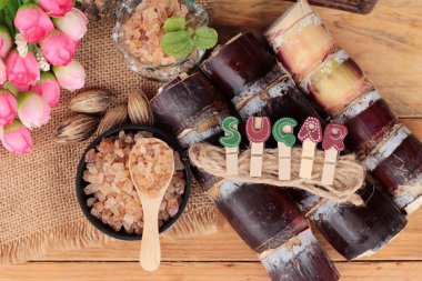 Şeker kamışı ve doğadan taze kamışı