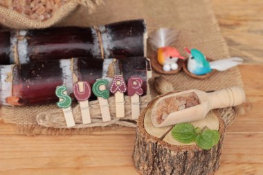 Şeker kamışı ve doğadan taze kamışı