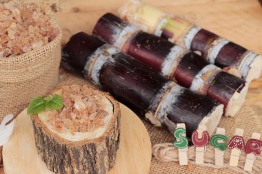 Şeker kamışı ve doğadan taze kamışı