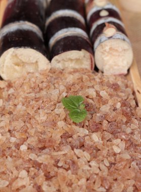 Şeker kamışı ve doğadan taze kamışı