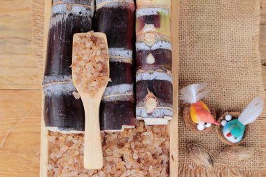 Şeker kamışı ve doğadan taze kamışı