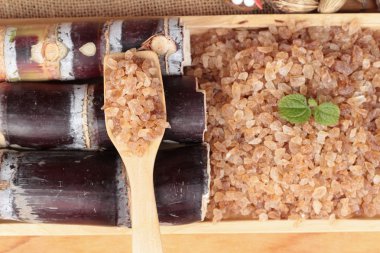 Şeker kamışı ve doğadan taze kamışı