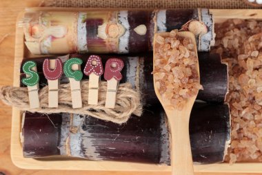 Şeker kamışı ve doğadan taze kamışı