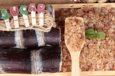 Şeker kamışı ve doğadan taze kamışı