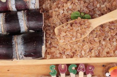 Şeker kamışı ve doğadan taze kamışı