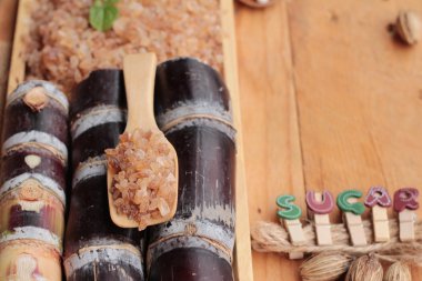 Şeker kamışı ve doğadan taze kamışı