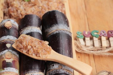 Şeker kamışı ve doğadan taze kamışı