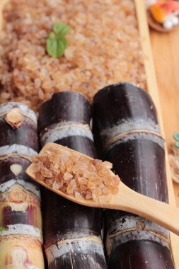 Şeker kamışı ve doğadan taze kamışı