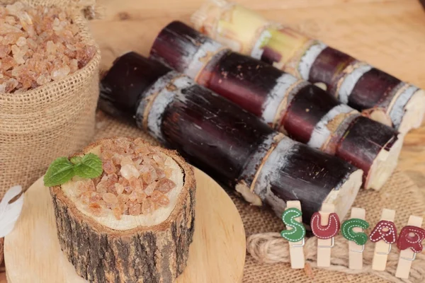 Şeker kamışı ve doğadan taze kamışı