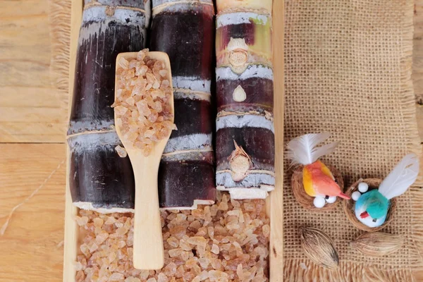 Şeker kamışı ve doğadan taze kamışı