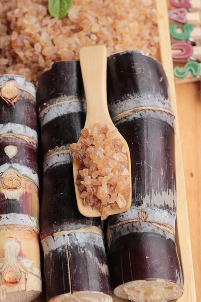 Şeker kamışı ve doğadan taze kamışı