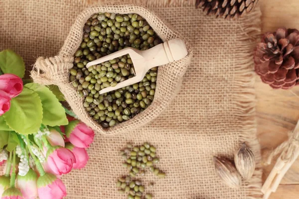 Green beans dry on wood background — Stock Photo, Image