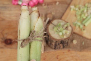 taze limon otu ahşap arka plan üzerinde bitkidir