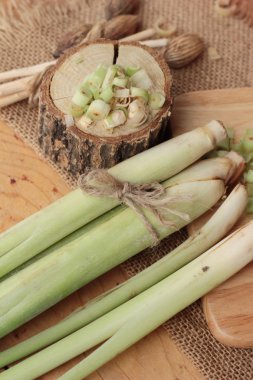 taze limon otu ahşap arka plan üzerinde bitkidir