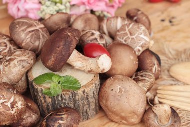 Shiitake mantar ahşap arka plan üzerinde yemek pişirmek için