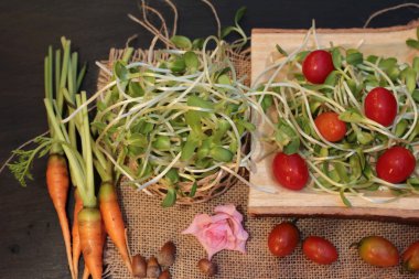 Yeşil genç ayçiçeği fide ve domates salatası