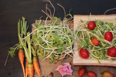 Yeşil genç ayçiçeği fide ve domates salatası