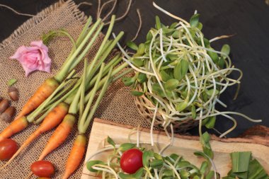 Yeşil genç ayçiçeği fide ve domates salatası