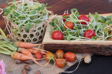 Yeşil genç ayçiçeği fide ve domates salatası