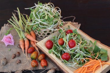 Yeşil genç ayçiçeği fide ve domates salatası