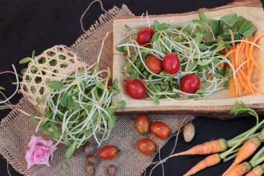 Yeşil genç ayçiçeği fide ve domates salatası