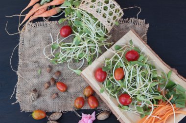 Yeşil genç ayçiçeği fide ve domates salatası