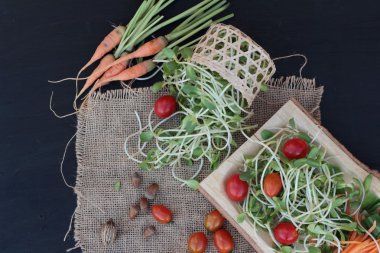 Yeşil genç ayçiçeği fide ve domates salatası