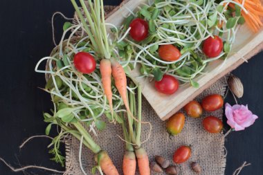 Yeşil genç ayçiçeği fide ve domates salatası