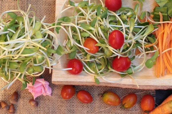 Grüne junge Sonnenblumensämlinge und Tomatensalat — Stockfoto