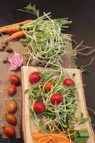 Grüne junge Sonnenblumensämlinge und Tomatensalat — Stockfoto