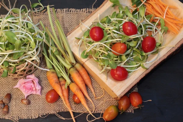 Planta cultivada de sementes de girassol jovem verde e salada de tomates — Fotografia de Stock