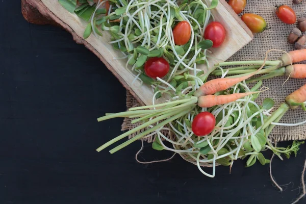 Yeşil genç ayçiçeği fide ve domates salatası