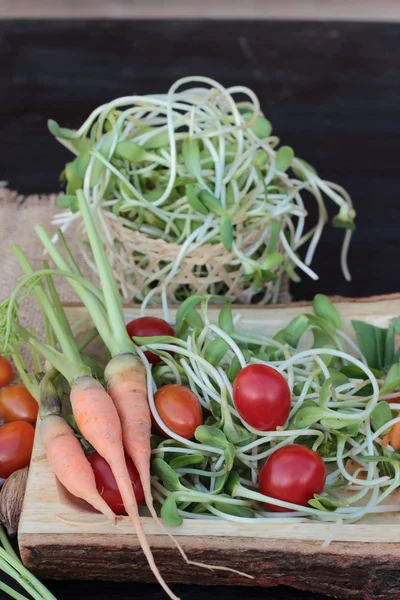 Green young sunflower seedling and tomatoes salad — Stock Photo, Image