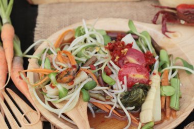 Salata baharatlı genç ayçiçeği fide lezzetlidir