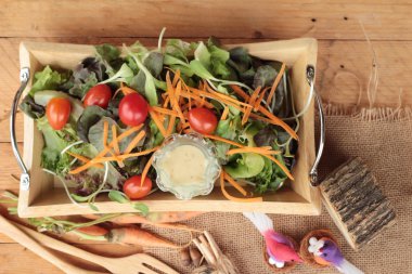 Sebze salatası salata sosu ile lezzetlidir