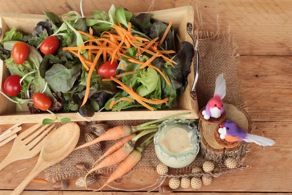 Овочевий салат з салатною заправкою смачний — стокове фото
