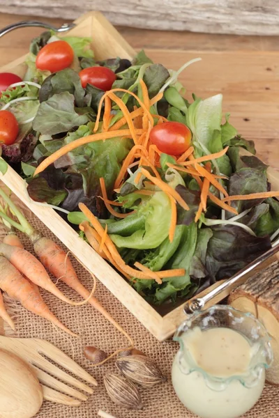 Grönsaker sallad med salladsdressing är läcker — Stockfoto