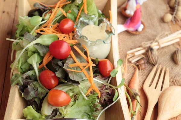 Ensalada de verduras con aderezo de ensalada es delicioso — Foto de Stock