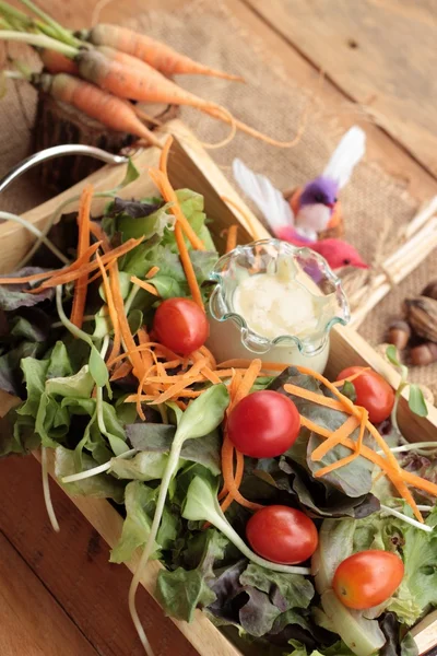 Ensalada de verduras con aderezo de ensalada es delicioso — Foto de Stock